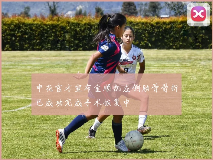 申花官方宣布金顺凯左侧肋骨骨折已成功完成手术恢复中